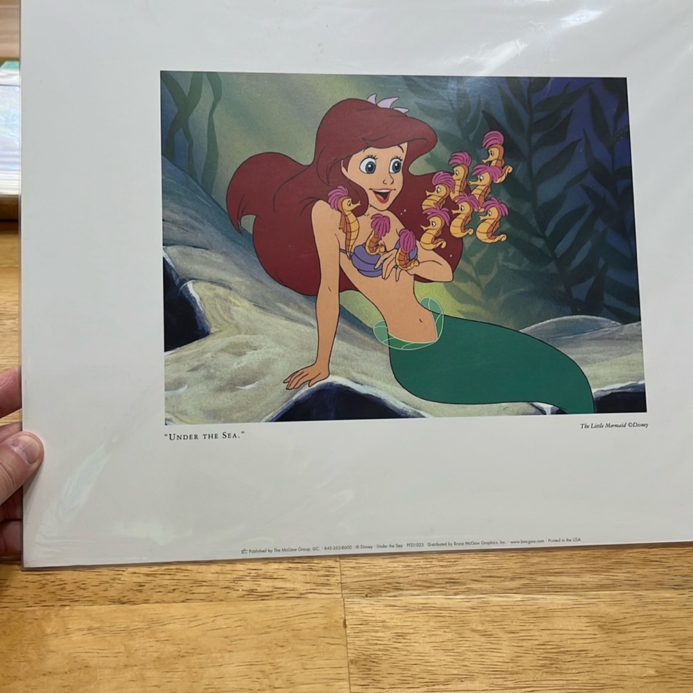NWT, The Little Mermaid, Ariel, Under the Sea Print